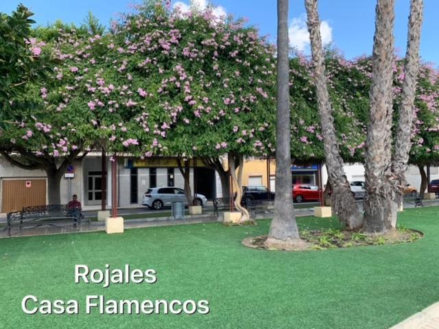 Villa Casa Flamencos à Rojales Extérieur photo